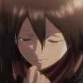 Mikasa