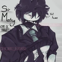 MISTER METRY
