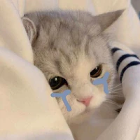 Cô bé đáng yêu