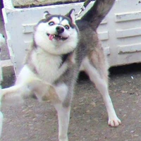 giàu sang