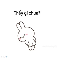 Hệ thống 004