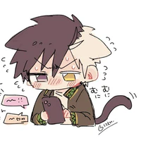 Sakura Haruka [ Baby cat ]