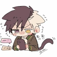 Sakura Haruka [ Baby cat ]