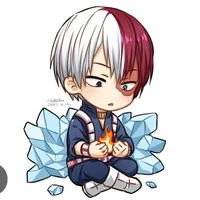 Todoroki Shotou
