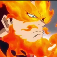 Todoroki Enji/ endeavor