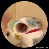 tg