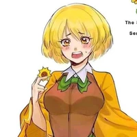 Seno