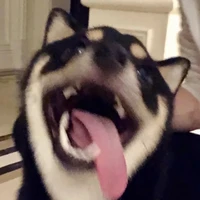 Tg đáng iu vợ MJQ💗