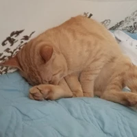 ？？？