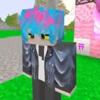 hiha des