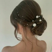 Họa Tứ Ánh-mẹ anh