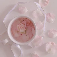 .all.mọi người.bọn hắn.