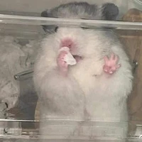 tác giả cute >•<