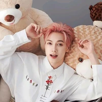 Nguyễn Thái Sơn (Jsol)