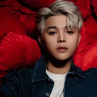 Nguyễn Quang Anh {Rhyder}