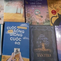 all các anh