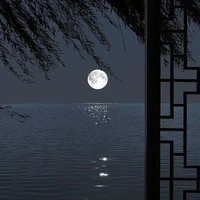 NV Phụ