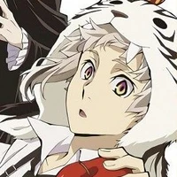 con mèo * hổ * 🐯