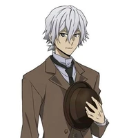 sói xám thích mèo