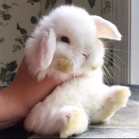 t/g trong chuyện 🏳️‍🌈