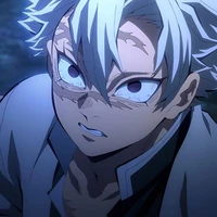 shinazugawa sanemi