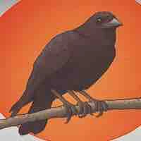 Quạ truyền tin(all)