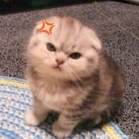 Khó tính rồi sao😤👊_zyr