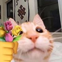 Lấy anh nha zyr_ljs