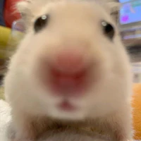 Bé dthw hong👉👈_wzc