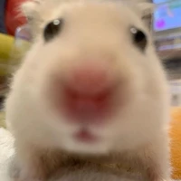 Bé dthw hong👉👈_wzc