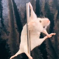 Đu cột nè gjc_wh