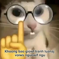 Tg nì