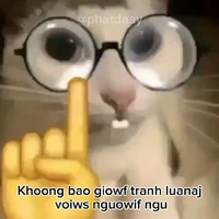 Tg nì