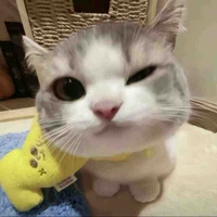 cứ gọi là gái đẹp