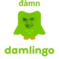 Damlingo