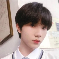tô tân hạo ( y)