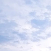 t/g