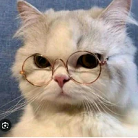 Tác giả cute:333