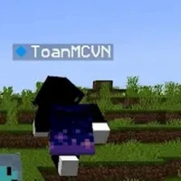 toàn mc