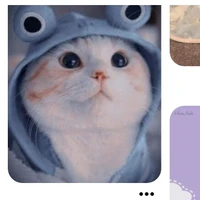 hệ thống zs208 ( hệ thống siu cute của h