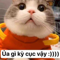 Mấy bạn con gái