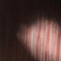 Đám nv9