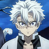 Shinazugawa Sanemi