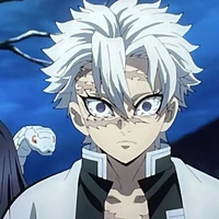 Shinazugawa Sanemi