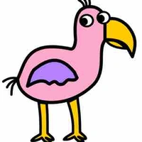 Opila bird