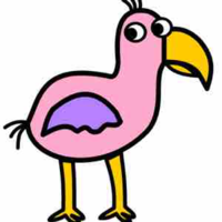 Opila bird