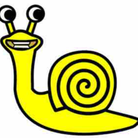 Slow seline