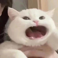 Tác giả :3