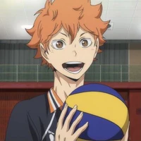 Shoyo Hinata