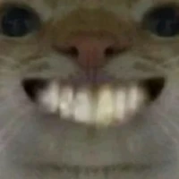 t/g